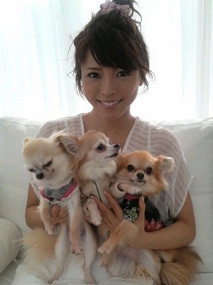 釈由美子の犬、日本酒を誤飲し死亡　愛犬家「もう犬を飼うな」と激怒