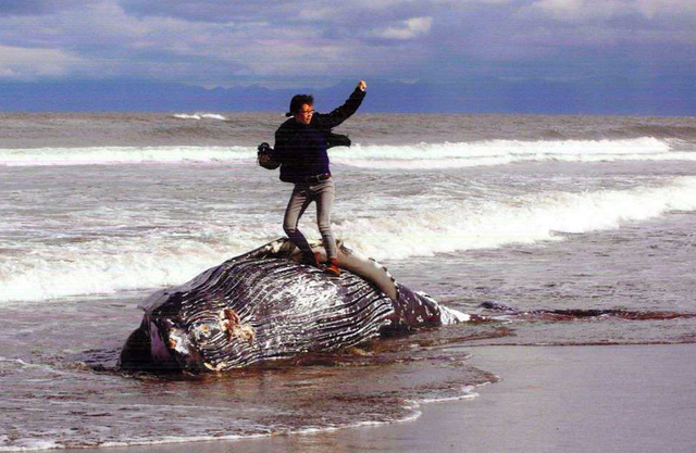 クジラ死骸上でガッツポーズ　北海道立オホーツク流氷科学センターの写真コンテスト最優秀作品に批判相次ぐ