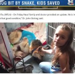 忠犬、毒ヘビに噛まれながら７歳女児守る