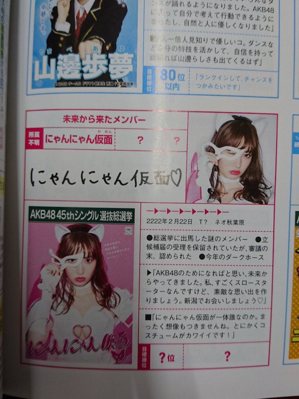 AKB48の運営「総選挙に謎のメンバー、にゃんにゃん仮面が参戦します！」