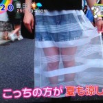 【画像】今年の夏に流行るらしい「スケ感スカート」これ、履く意味ある？w