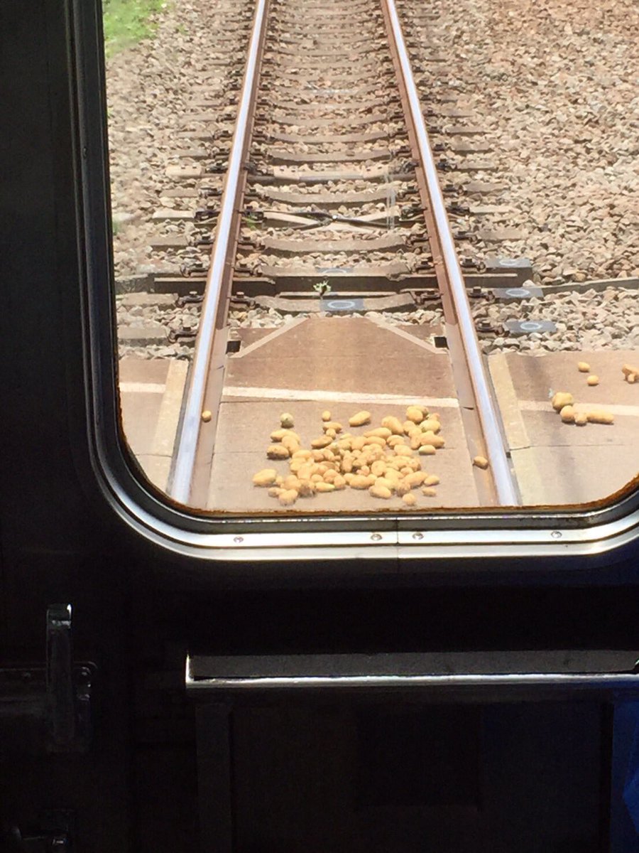 【画像】ジジイが線路にジャガイモ置いて電車止めるｗｗｗｗｗ