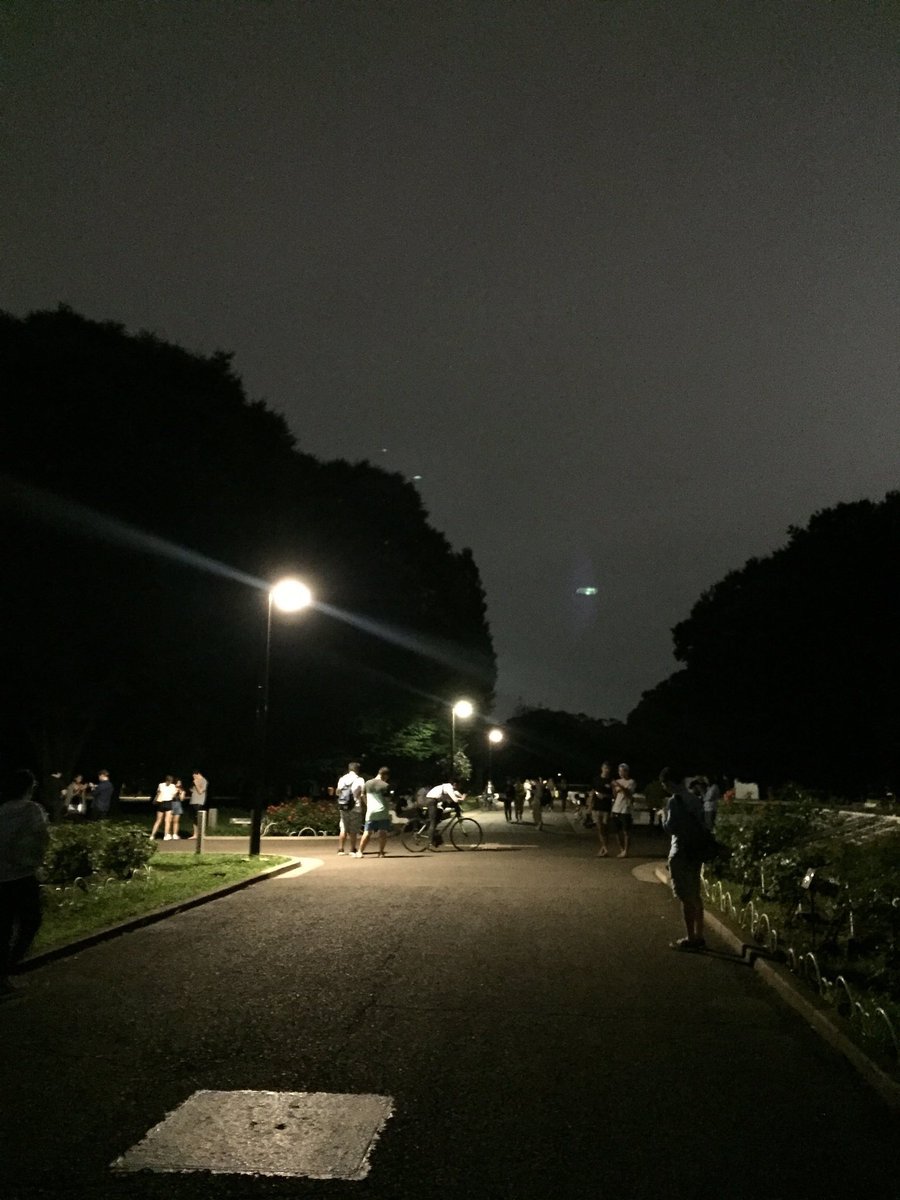 【画像】ポケモンGOにより深夜の公園がお祭り騒ぎにｗｗｗｗｗｗ