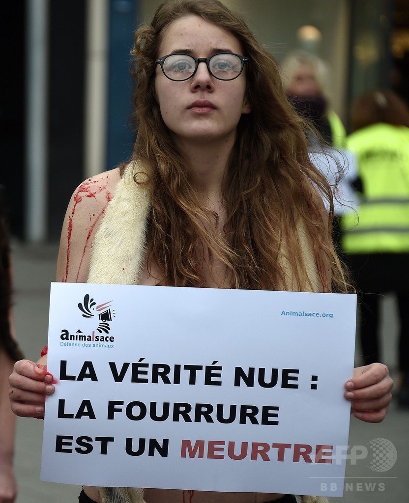 【画像】フランスでメガネっ娘の美女が服を脱ぎ捨てパンティー１枚で抗議「お願い！毛皮を買わないで！」