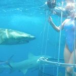 【悲報】AV女優、水中で撮影中にサメに噛まれる