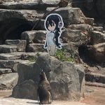 【悲報】動物園のペンギンさん、けものフレンズのせいでプライバシーが奪われる