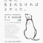 【画像】犬「日本に生まれなければ良かった」 動物愛護者が作った広告が物議