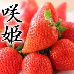 イチゴ農家「TOKIOがイチゴの品種改良やっとる…ワイもやってみるか」