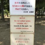 川口の公園に異様な看板「蝉の幼虫を食べないで下さい」…なぜか中国語の看板