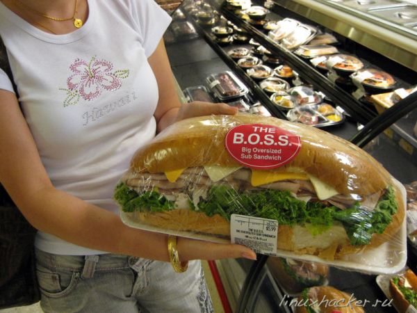 【画像】アメリカのサンドイッチ(6ドル)が女性に優しくなくて筋肉に負担がありまくりだと話題に
