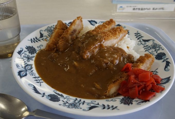 【画像】香川県庁の食堂カレー　やる気のない盛り付け、冷めたカツ、食堂のカレーにふさわしいクオリティと話題