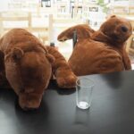 【画像】IKEAでクマのぬいぐるみが人気