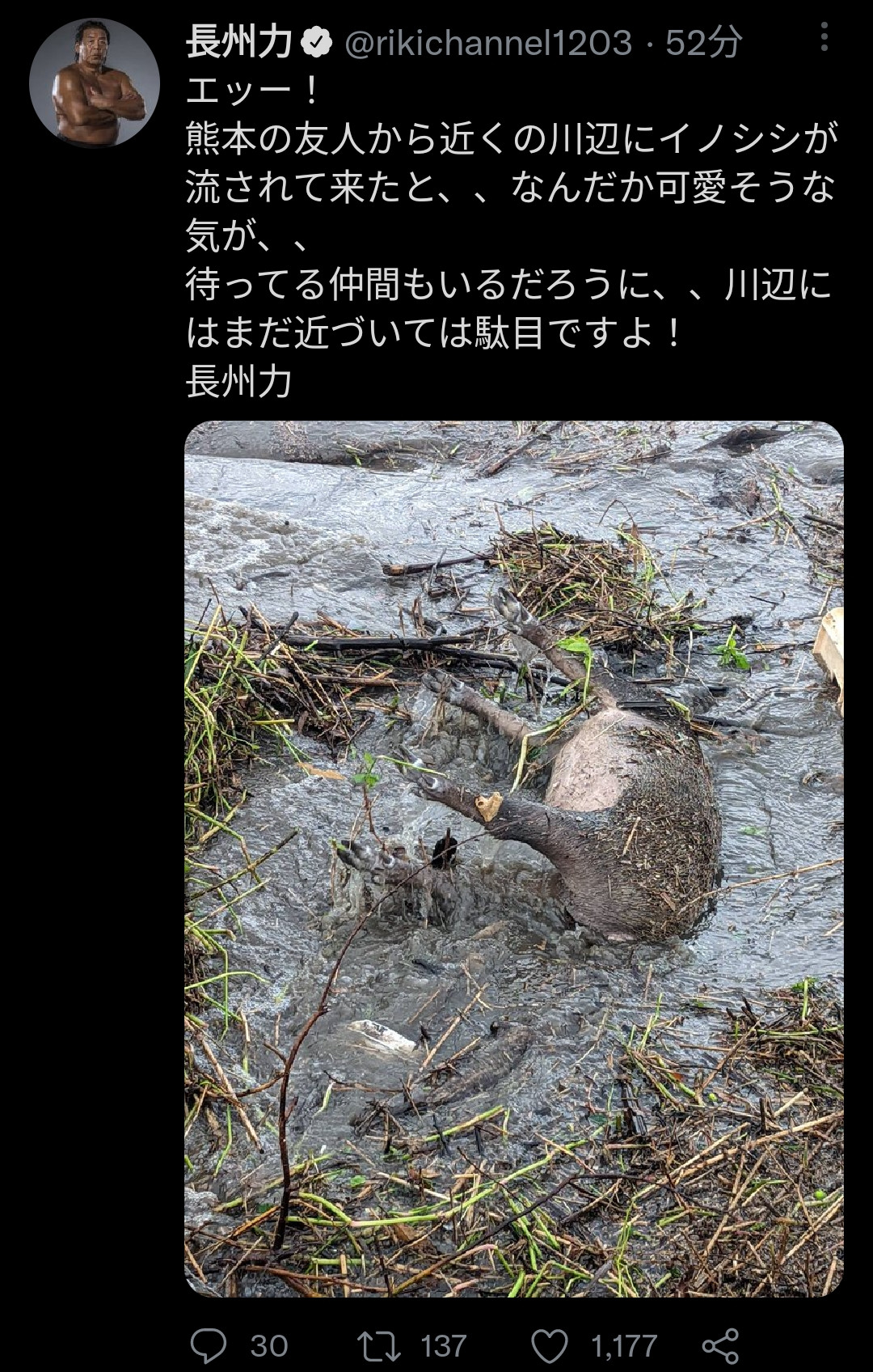 【画像】長州力さん、Twitterに動物の死骸を投稿