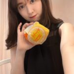 【画像】小嶋陽菜さん、月見バーガー×3、チーズ月見×3を購入