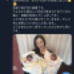 【朗報】元セクシー女優の原紗央莉さん、双子の女児を出産