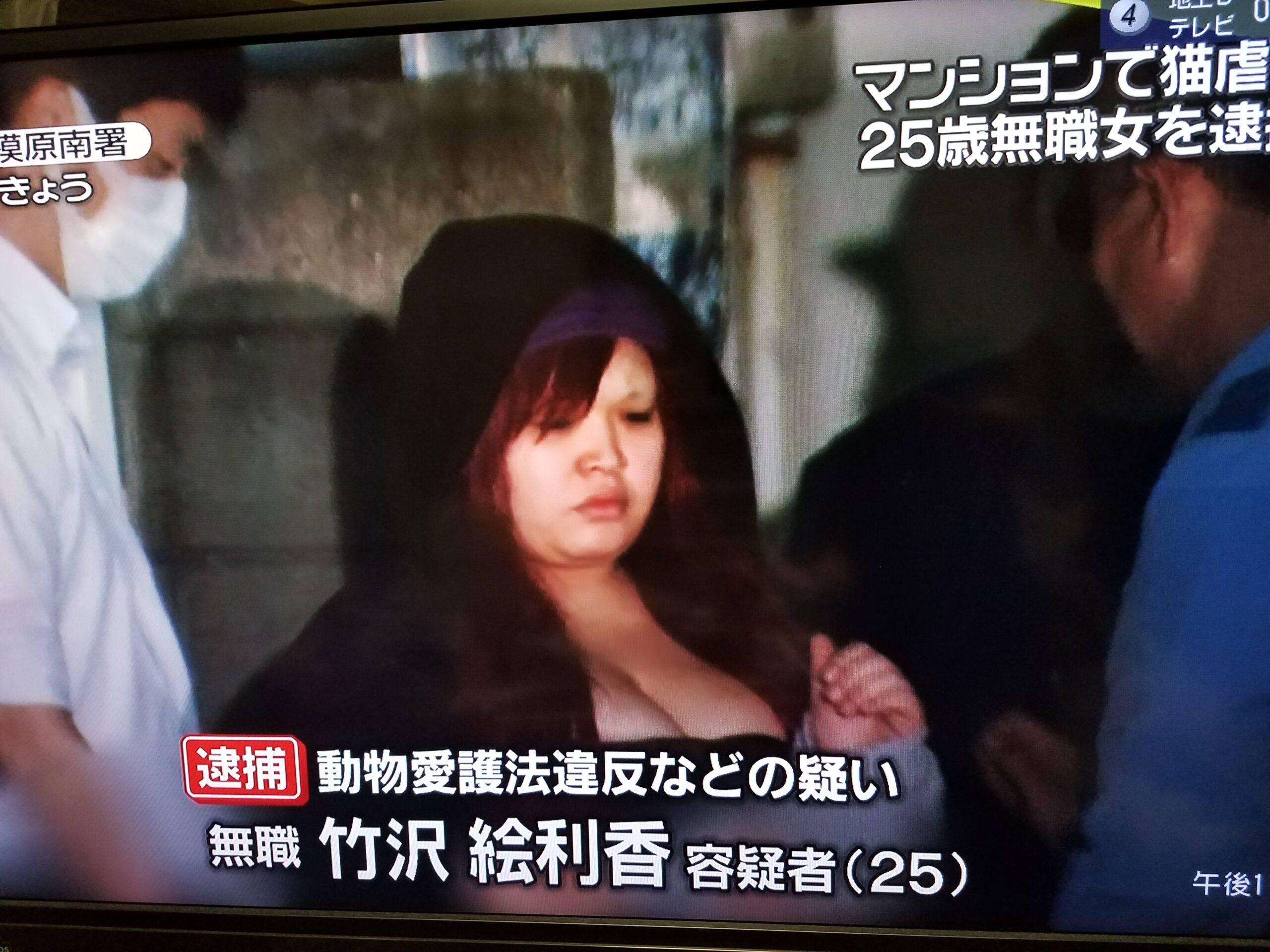 【画像】猫虐待で逮捕されたまんさん(25)のご尊顔www