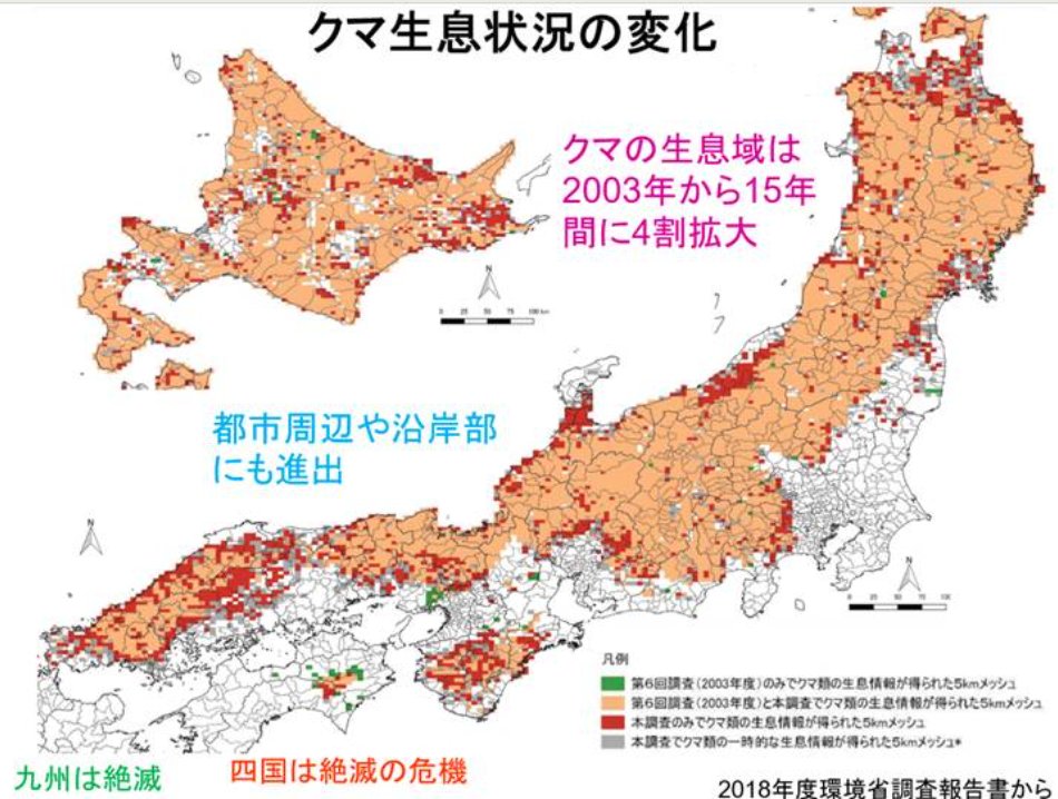 【画像】九州「クマ絶滅してます」四国「クマ絶滅の危機です」←これ
