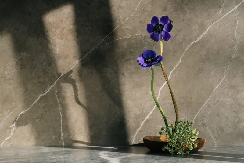 Ikebana Wrecked My Idea of Minimalism (And Honestly, Good)