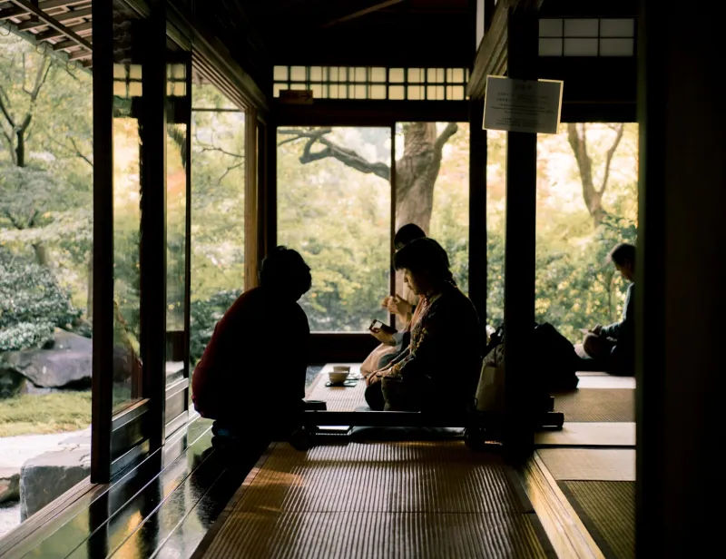 Nobody Panic: What Japanese Silence Is Actually Trying to Tell You