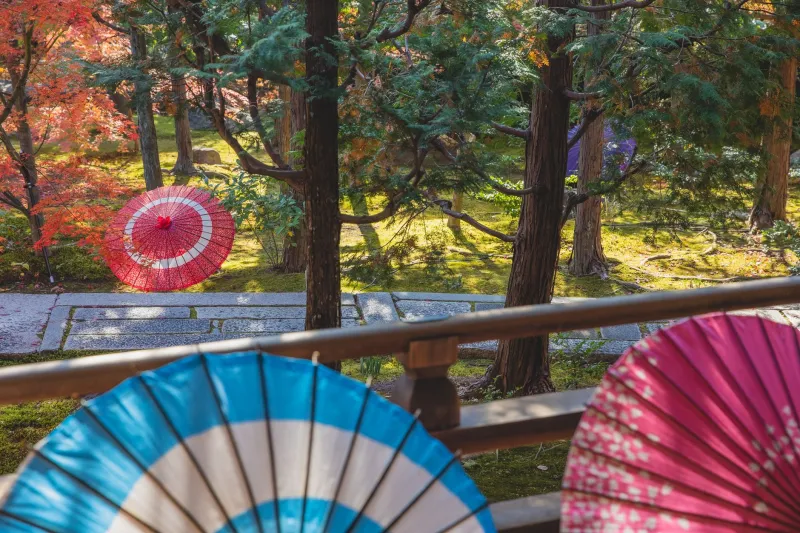 Rest Isn't a Reward in Japan — It's Just Tuesday